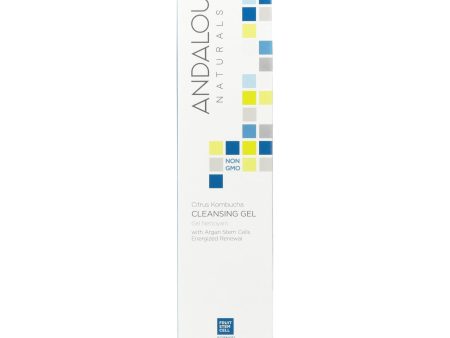 Andalou Naturals Cleansing Gel Citrus Kombucha - 6 Oz Online Hot Sale