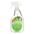 Earth Friendly Fruit And Vegetable Wash - Case Of 6 - 22 Fl Oz. Online Hot Sale