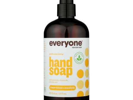 Everyone - Hand Soap - Meyer Lemon And Mandarin - 12.75 Oz Online now