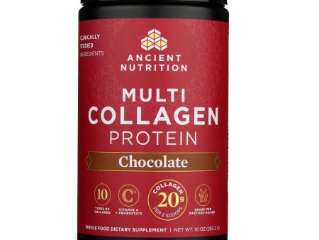 Ancient Nutrition - Cllgn Multi Chocolate Protein - 1 Each 1-10.0 Oz For Cheap