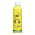 The Seaweed Bath Co - Cooling Mist Sport Spf60 - 1 Each-6 Fz For Discount