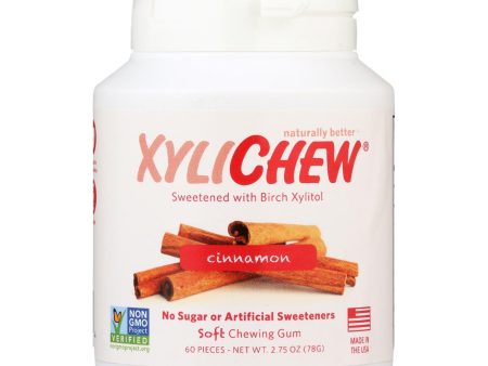 Xylichew Gum - Cinnamon - Jar - 60 Pieces - 1 Case Online now