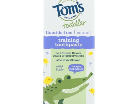 Tom s Of Maine Toothpaste - Toddler Training - Natural - Fluoride Free - Mild Fruit - 1.75 Oz - Case Of 6 For Sale