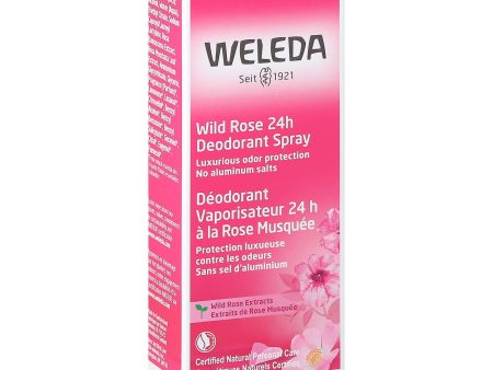 Weleda Deodorant Wild Rose - 3.4 Fl Oz Online Hot Sale