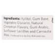 Xylichew Gum - Cinnamon - Jar - 60 Pieces - 1 Case Online now