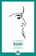 Rumi: The Pocket Rumi [2017] paperback Hot on Sale