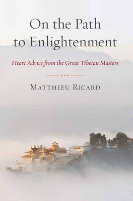 Matthieu Ricard: On the Path to Enlightenment [2013] paperback Online