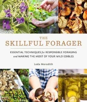 Leda Meredith: Skillful Forager [2019] paperback For Discount