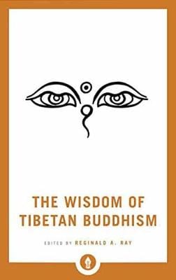 Reginald A Ray: The Wisdom of Tibetan Buddhism [2017] paperback For Cheap