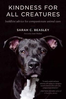 Sarah Beasley: Kindness for All Creatures [2019] paperback Cheap