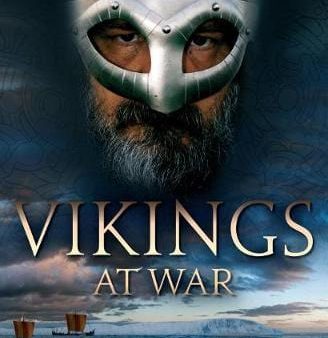 Casemate: Vikings at War [2019] paperback For Discount