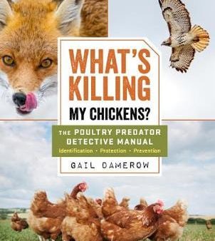 Gail Damerow: What s Killing My Chickens?: The Poultry Predator Detective Manual [2019] paperback For Sale